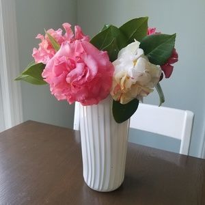 Meet your Posher, Amelia